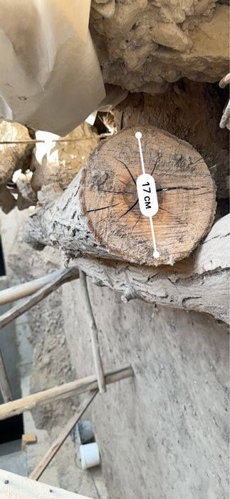 Срочноо продам !!! Тайёр кесилган ёнгоқ дарахти