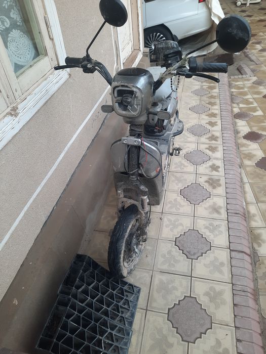 Sukutur sotiladi 2025