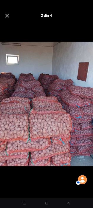 Vând cartofi de sămânță alb și roșu ne puteți găsi în piața la cepele