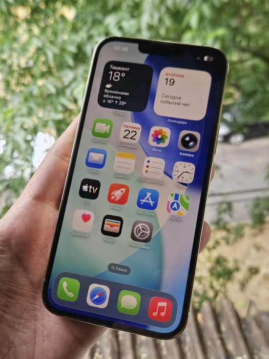Iphone 13 Pro Max Gold