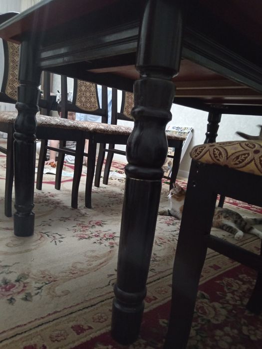 Стол стулья срочно продам