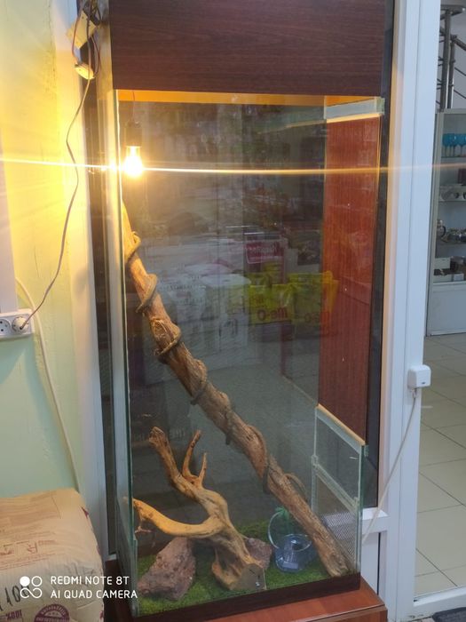 Террариум для рептилий