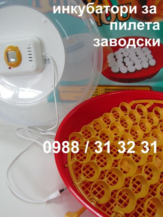 Румънски инкубатор за пилета. Инкубатори за яйца с дисплей
