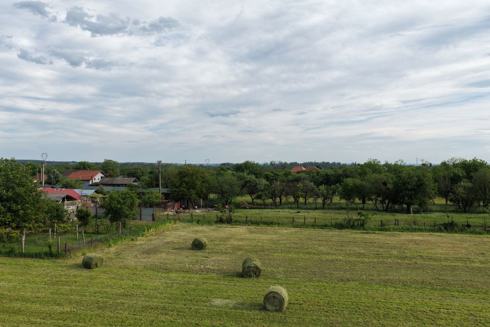Lucernă coasa 2 2026