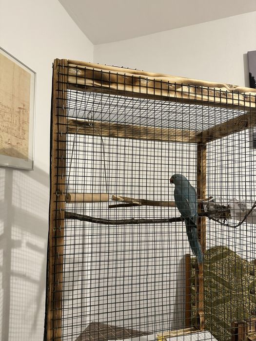 Colivii, hrănitoare păsări, voliere etc. Personalizate pe comandă!