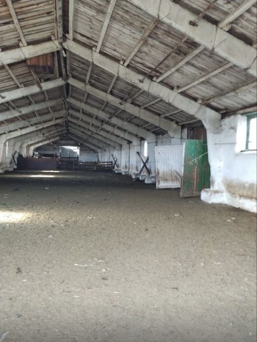 Фермерское действующее хозяйство