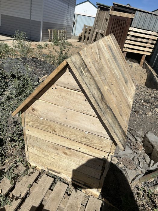 Бутки для собак из дерево