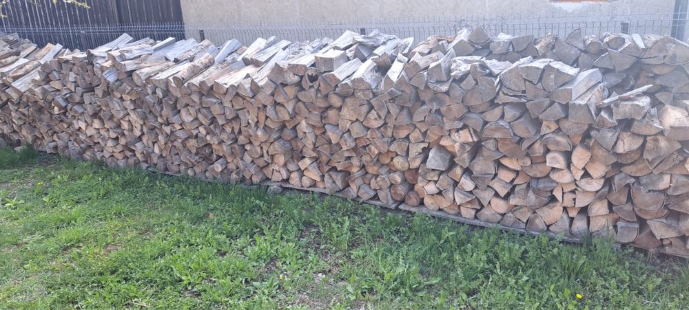 Lemne de foc uscate 28 luni