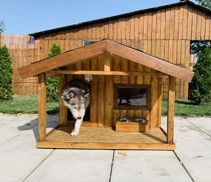 Cusca de caine izolata - calitate garantata