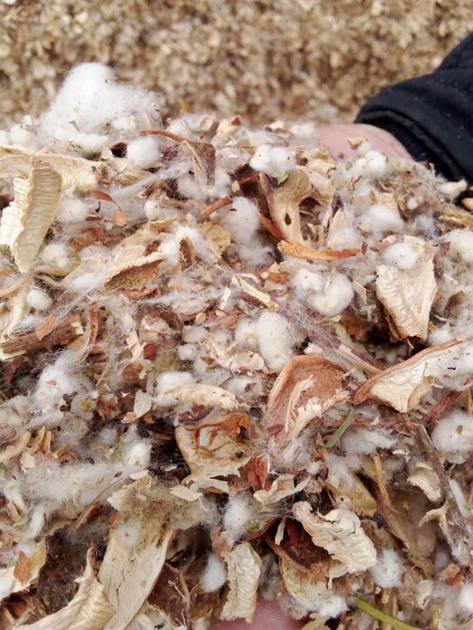 ТОЗА пахта.чигитли.чанок.