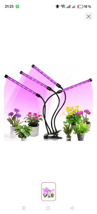 Фитолампа Ультрафиолетовая