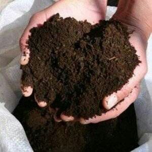 Biogomis arzon va tez