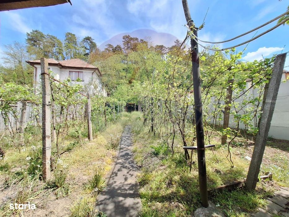 Casă cu panoramă superbă asupra orașului–Mediaș, str. Ulmului nr. 13A