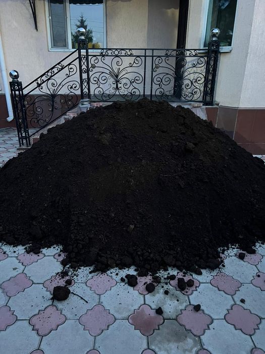 Навоз,передний..