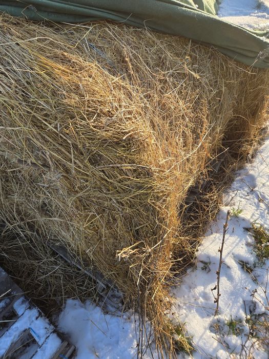 Baloti de fan si de paie 120×120