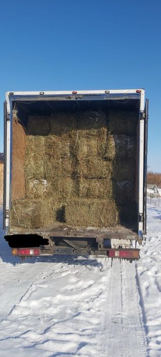 продам сено в тюках