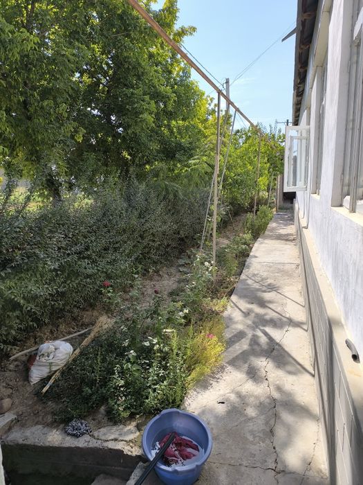 Сырдарье срочно продается большой дом