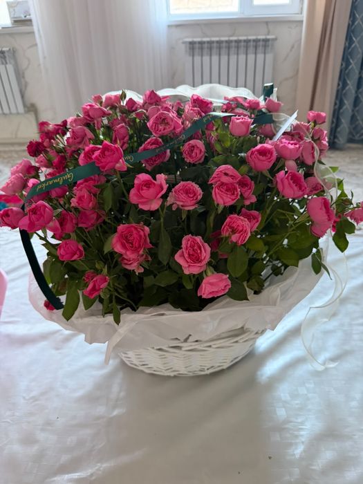 151 роза              .