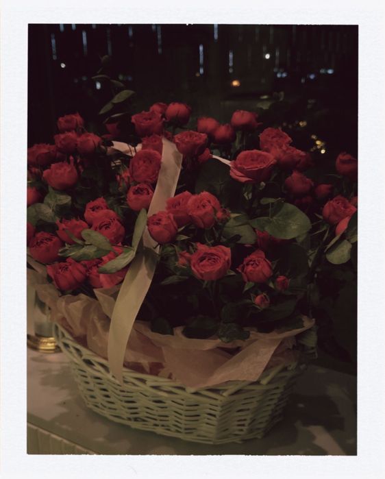 Продаю цветы, кустовые розы