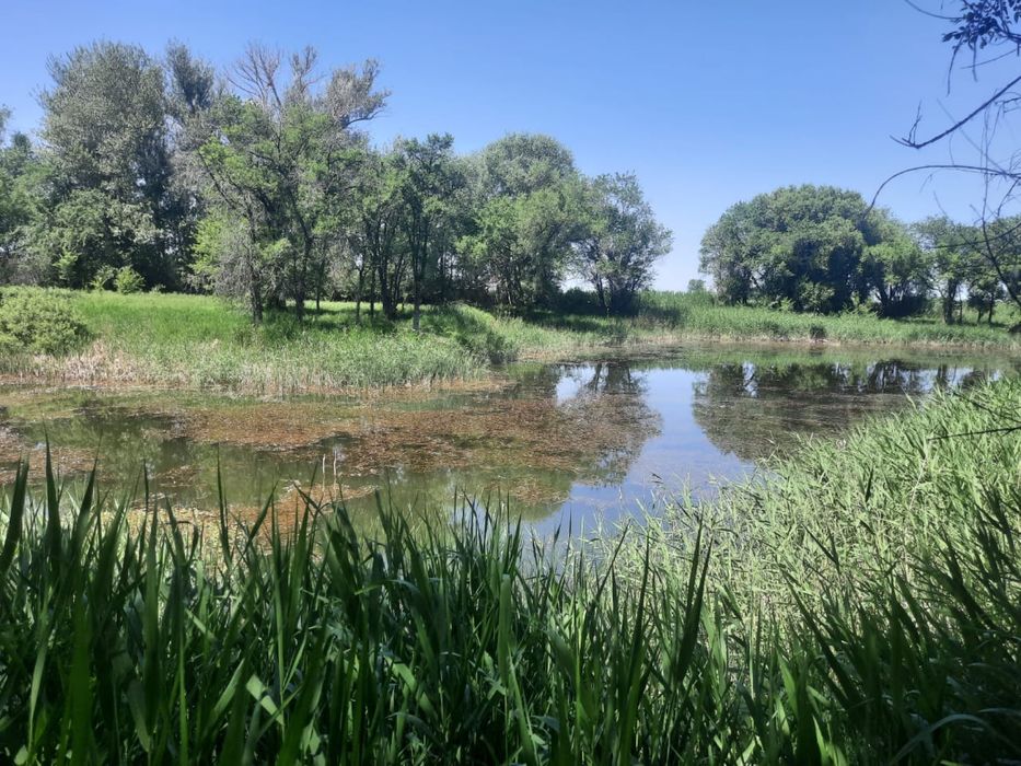 Земельный участок