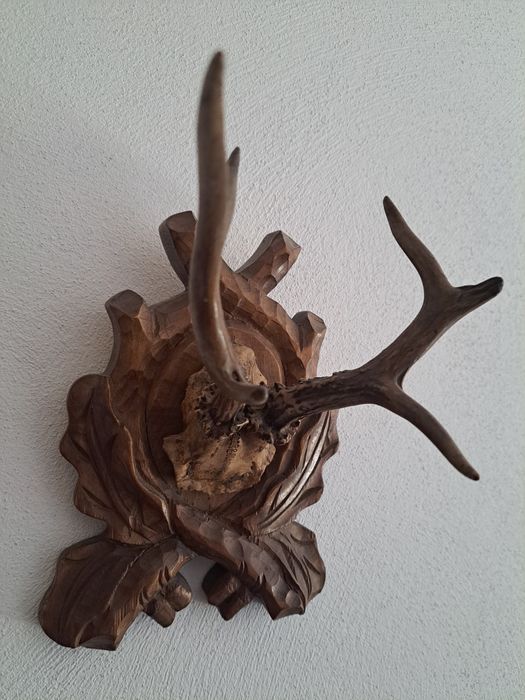 Coarne căprior pe suport sculptat