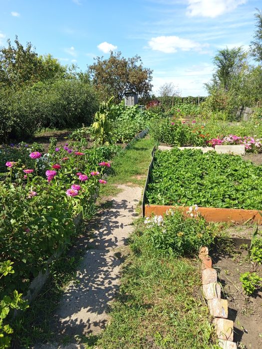 Продам дачу Садовод строитель