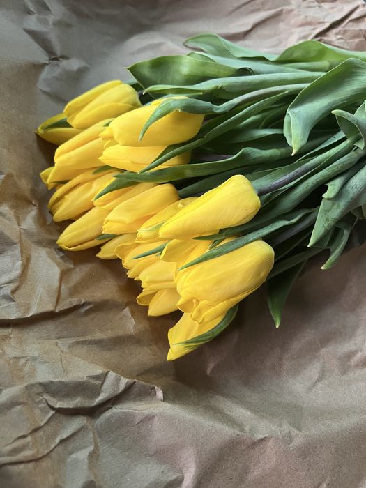 Тюльпаны оптом к 8 марта от 420 тенге