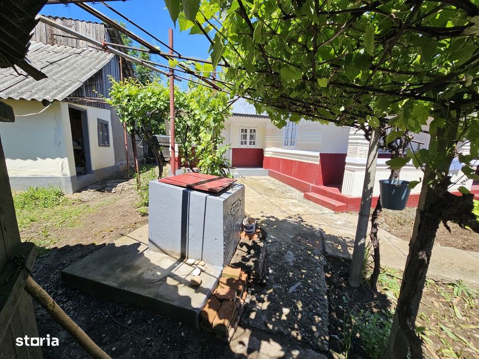 Casă cu teren 1.330 mp și anexe gospodărești în Păunești, Vrancea