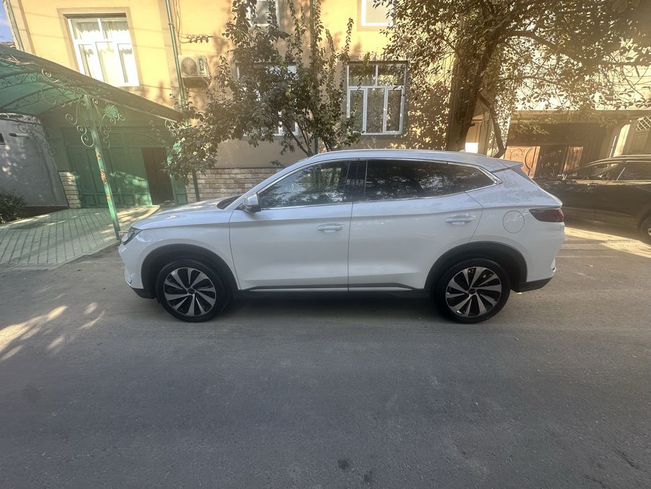 Byd chempion hibrid 150 тали краска тоза