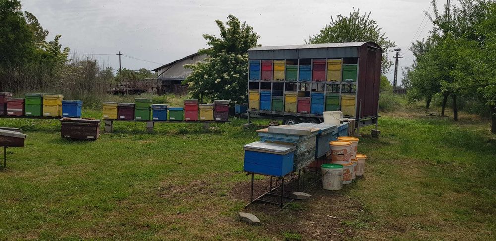 20 stupi de vânzare – echipați complet, gata de utilizare