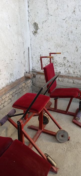 Sport mashgʻulotlari