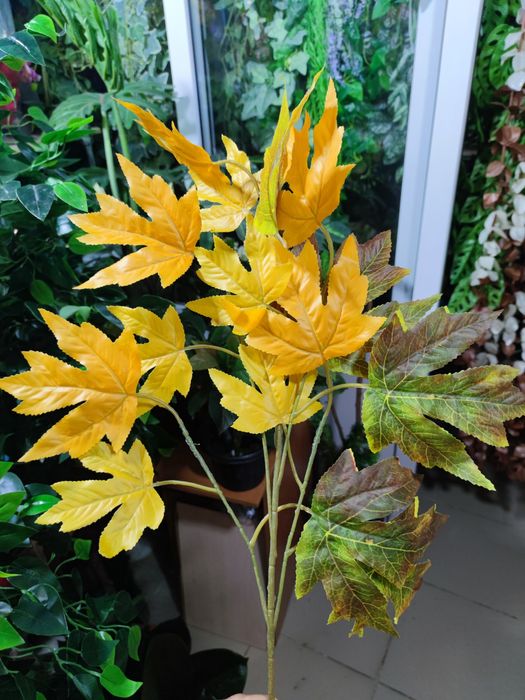 Листья осень. Качество.