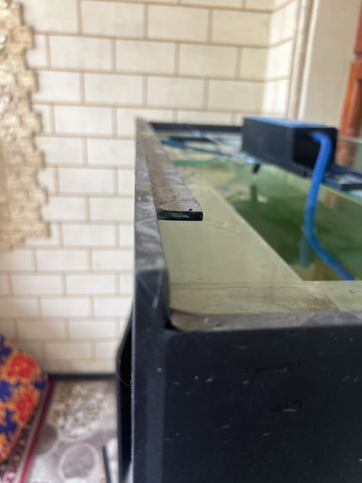 Akvaryum sotiladi 500 litr