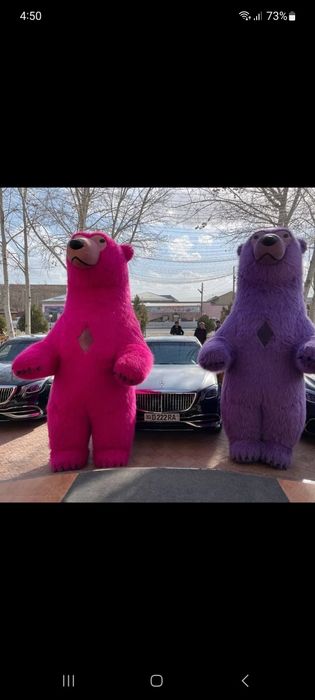 Ayiqlar  raspradasha oformleniya 24 soat xizmat eng arzon para