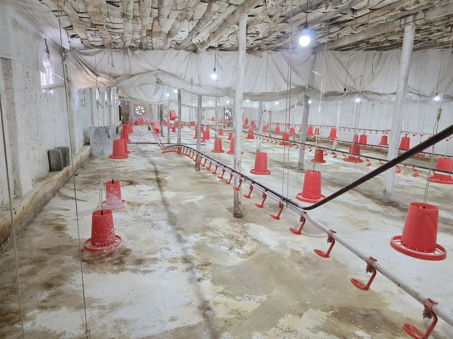 Карамол учун ферма   товук ферма  фабрика