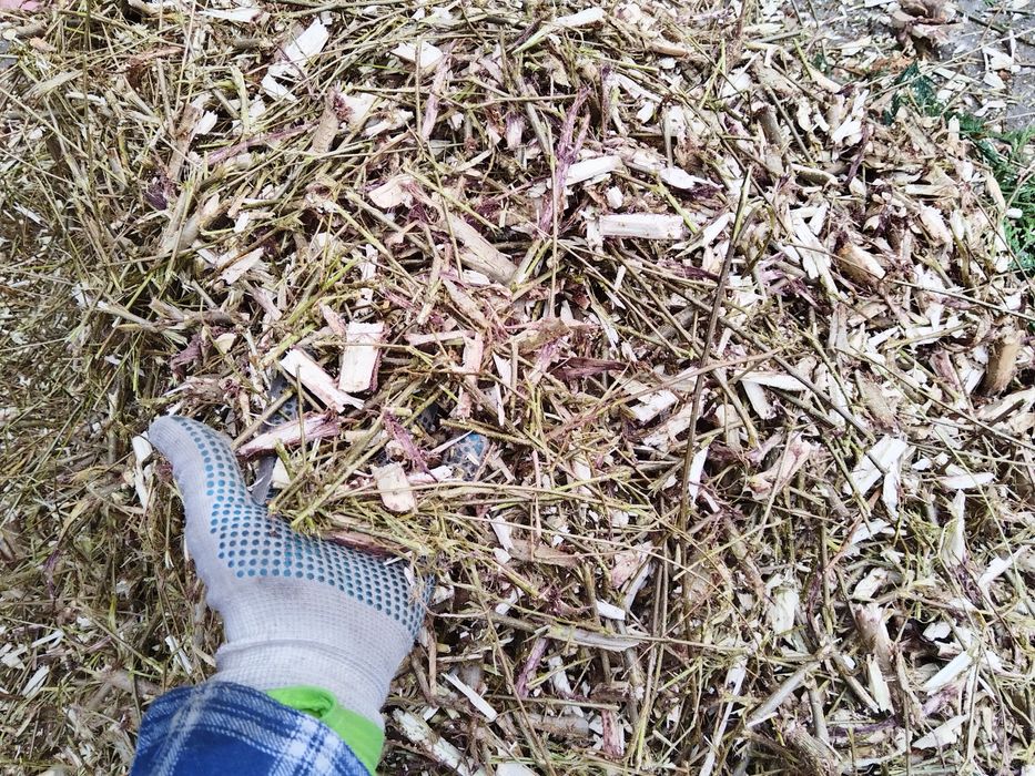 tocatura de crengi, mulci