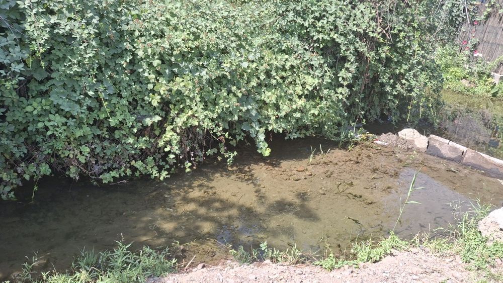 Дачный участок 10-11 соток