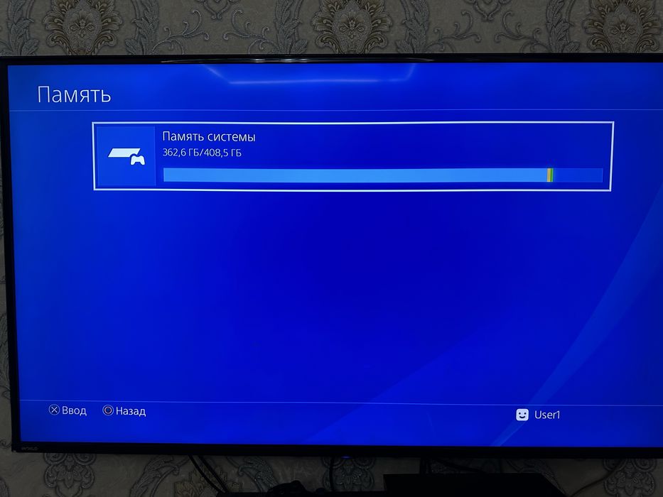 Plesteshin 4 zur sastayanida