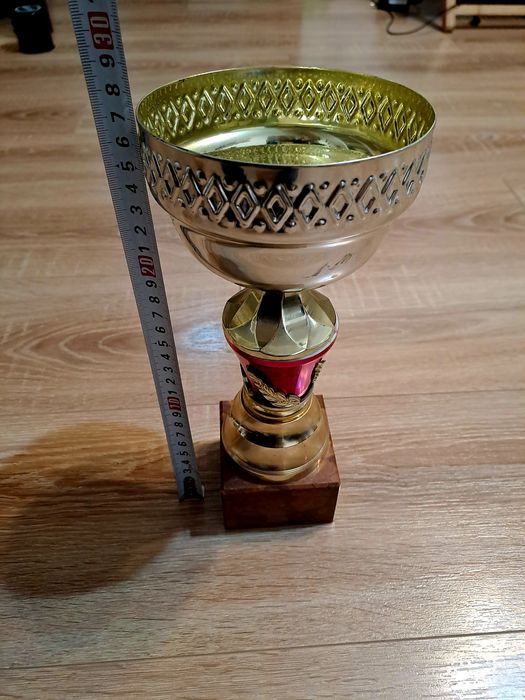 Vand cupa deosebita castigata la un concurs în Bucuresti