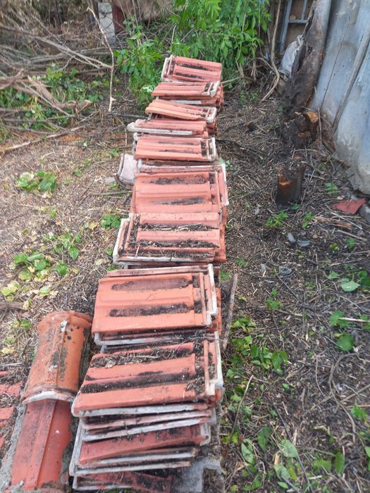 продавам 350 бр. kеремиди български употребявани-0,30ст бройката