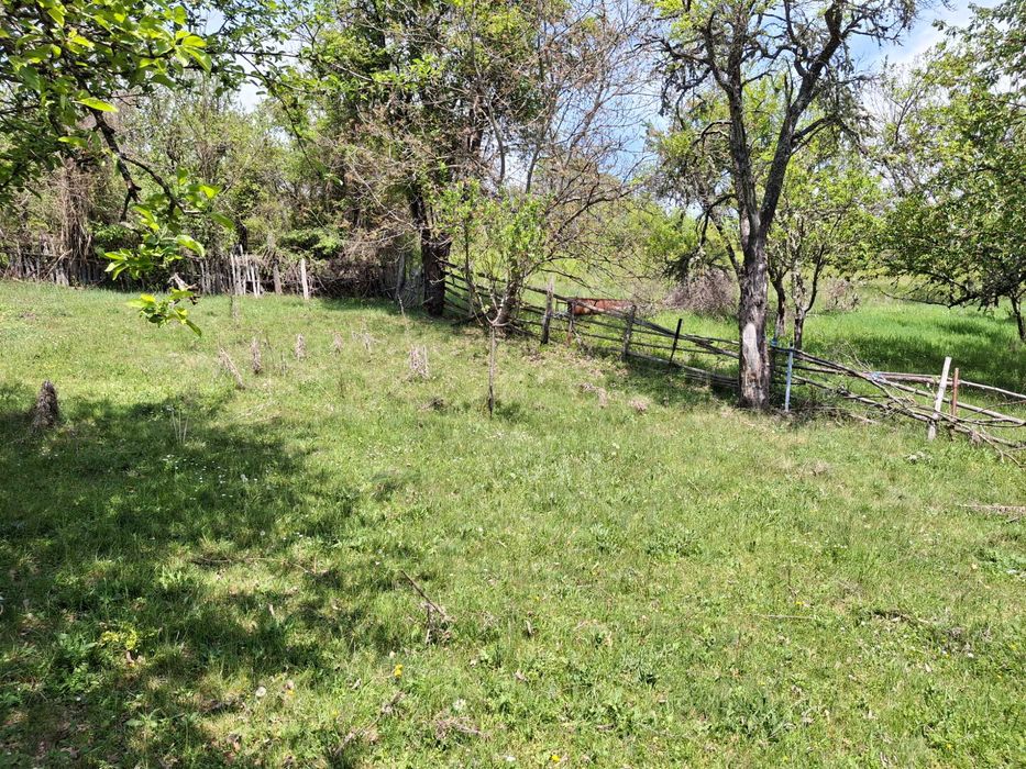 Два парцела с една къща