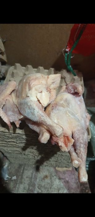 Мясо кур.               .