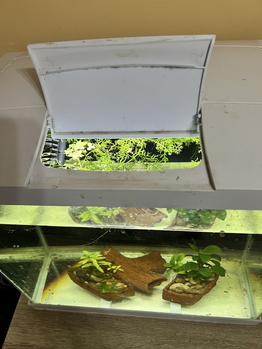 55 литров аквариум