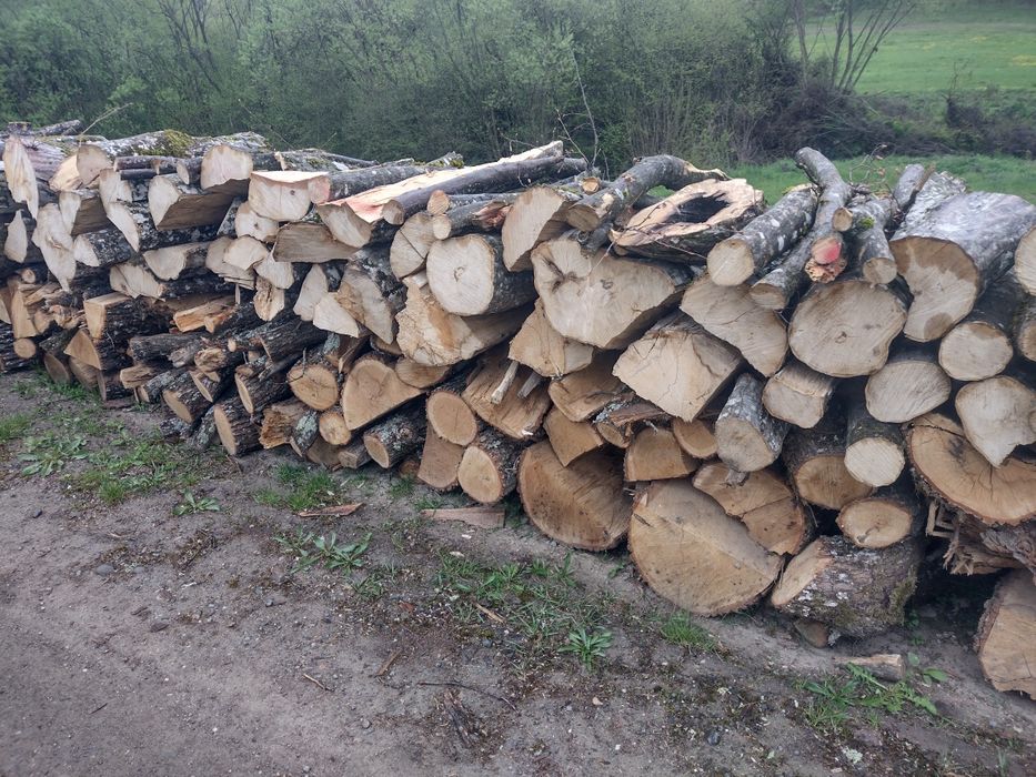 Lemne de foc esență