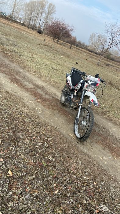 Эндуро реисер пантера