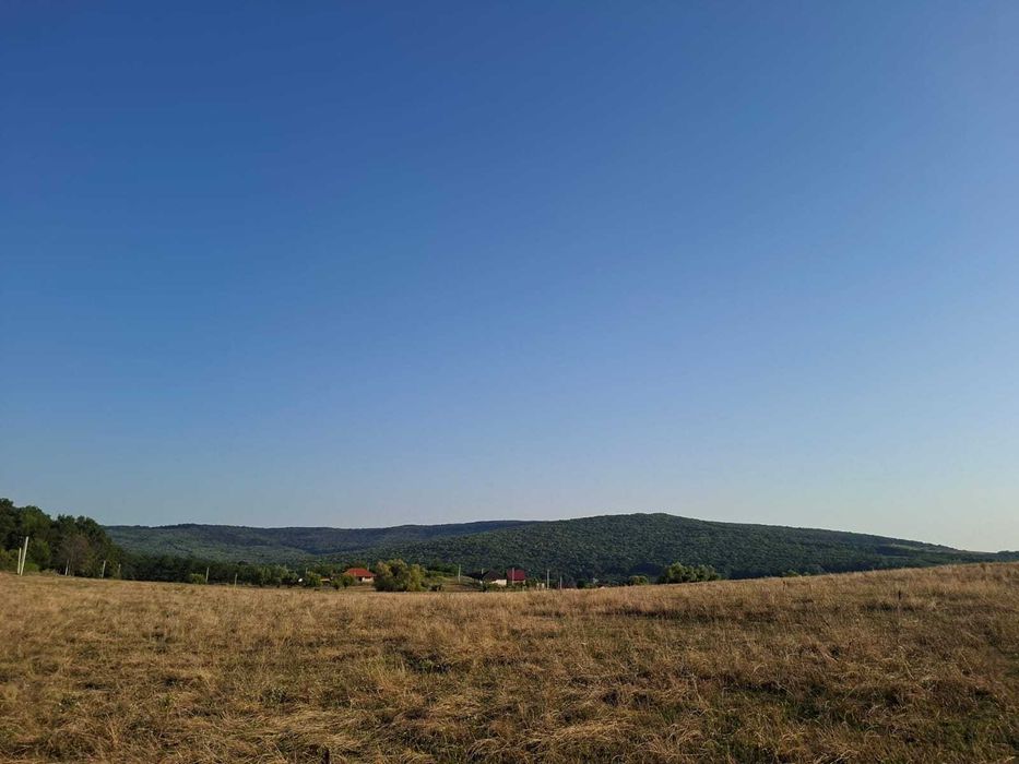 Teren Barnova Iasi