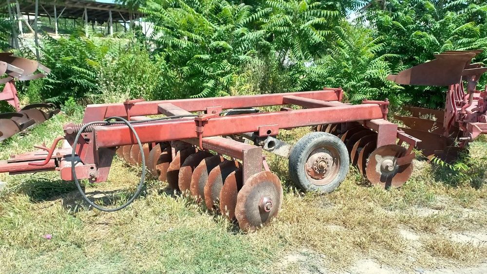 Барана с Европы+