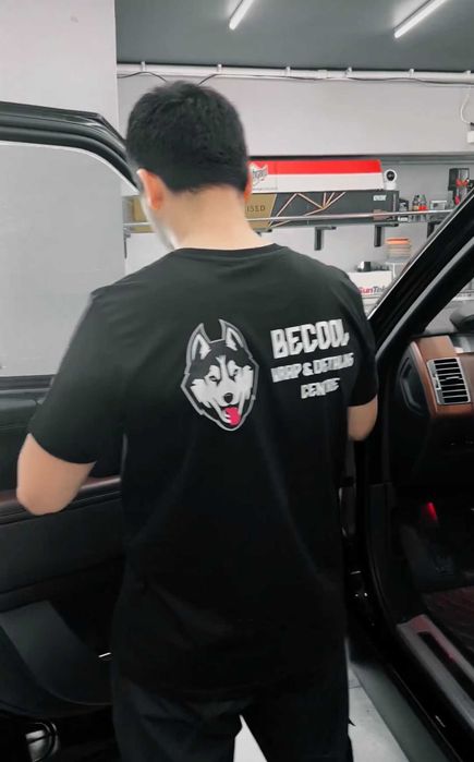 Услуги тонировки Becool, Armolan, Американка