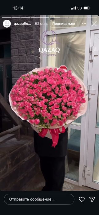 Цветы кустовые српей розы