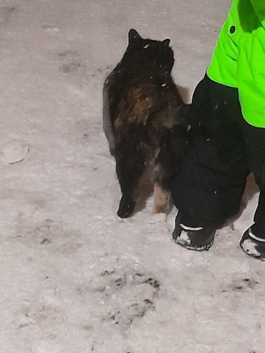 Пожалуйста срочно помогите